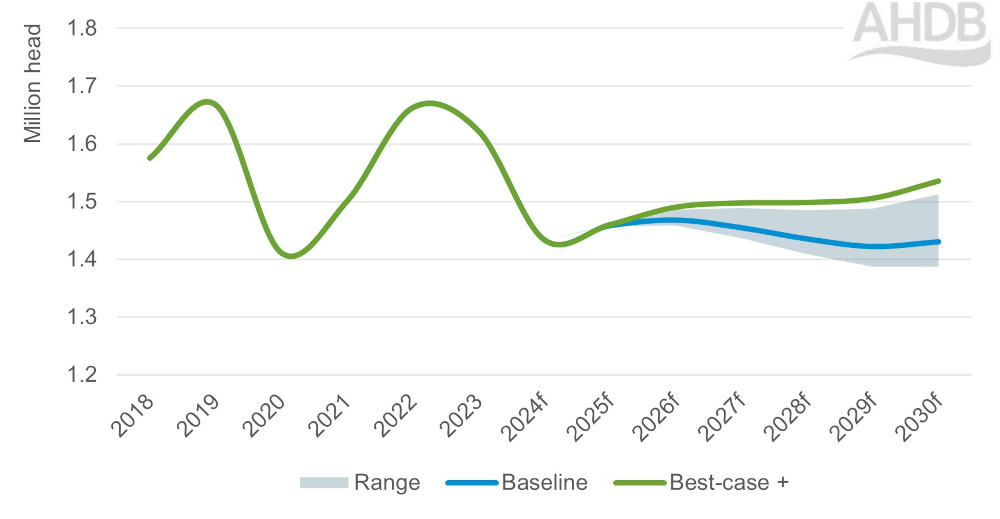 Graph of lamb adult slaughter 2018 to 2030.